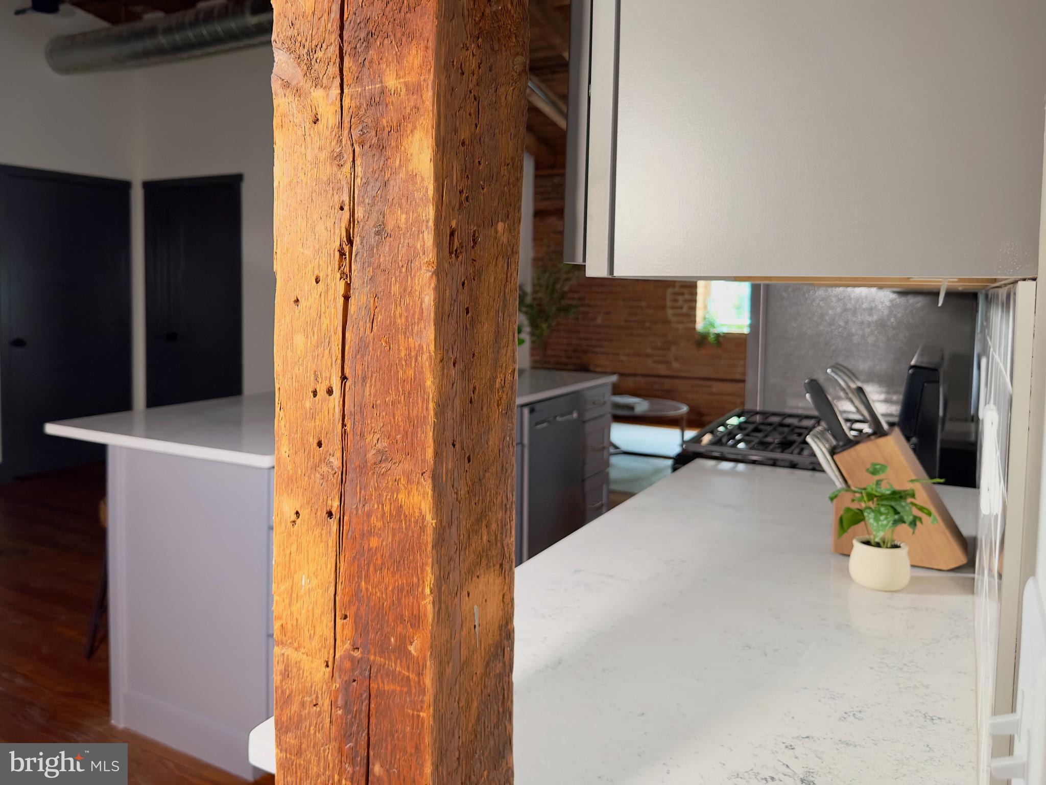 CHESTNUT HILL - Residential Lease