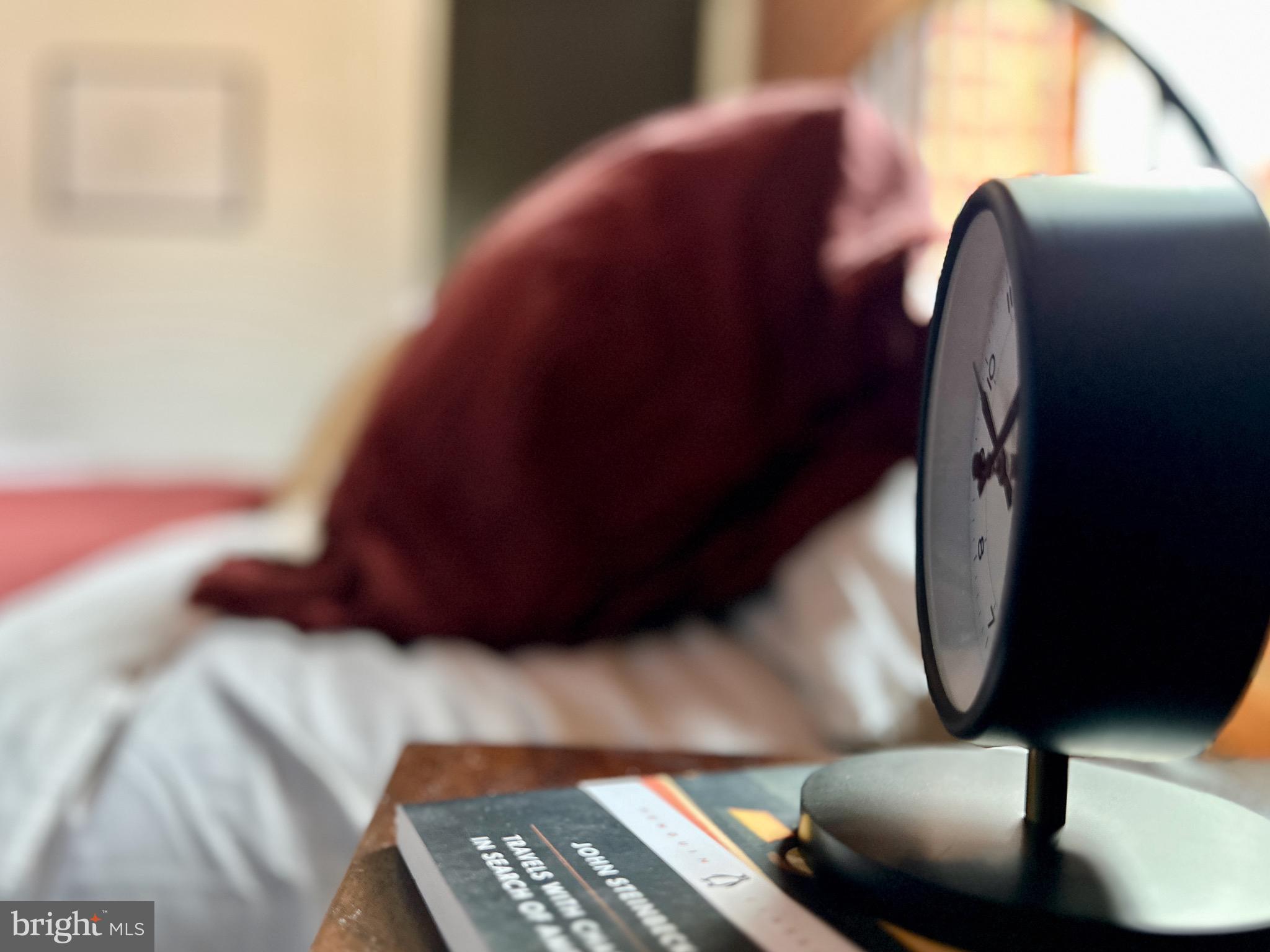 CHESTNUT HILL - Residential Lease