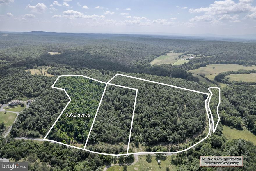 COME BUILD YOUR DREAM HOME! This beautiful lot has view potential and is priced UNDER the tax assessment. It has been perc'd for a three-bedroom alternative system, and the certification letter is on file with the VA Department of Health (see attached documents). The property is conveniently located just past Wilde Acres - only 30 minutes from downtown Winchester. Don't hesitate! Schedule your showing today!!