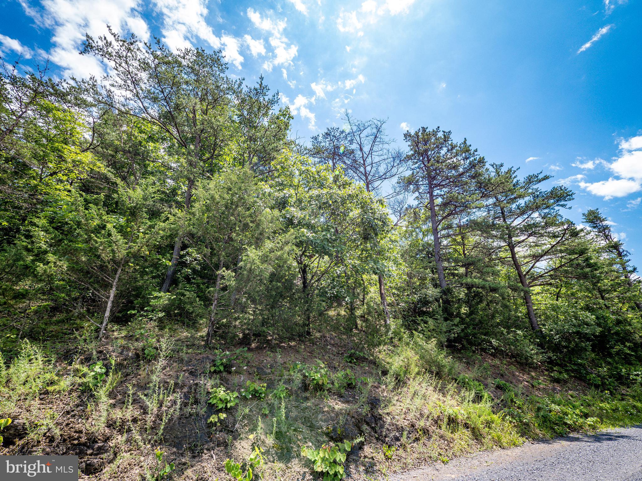 THE RIDGE AT CEDAR CREEK - Land