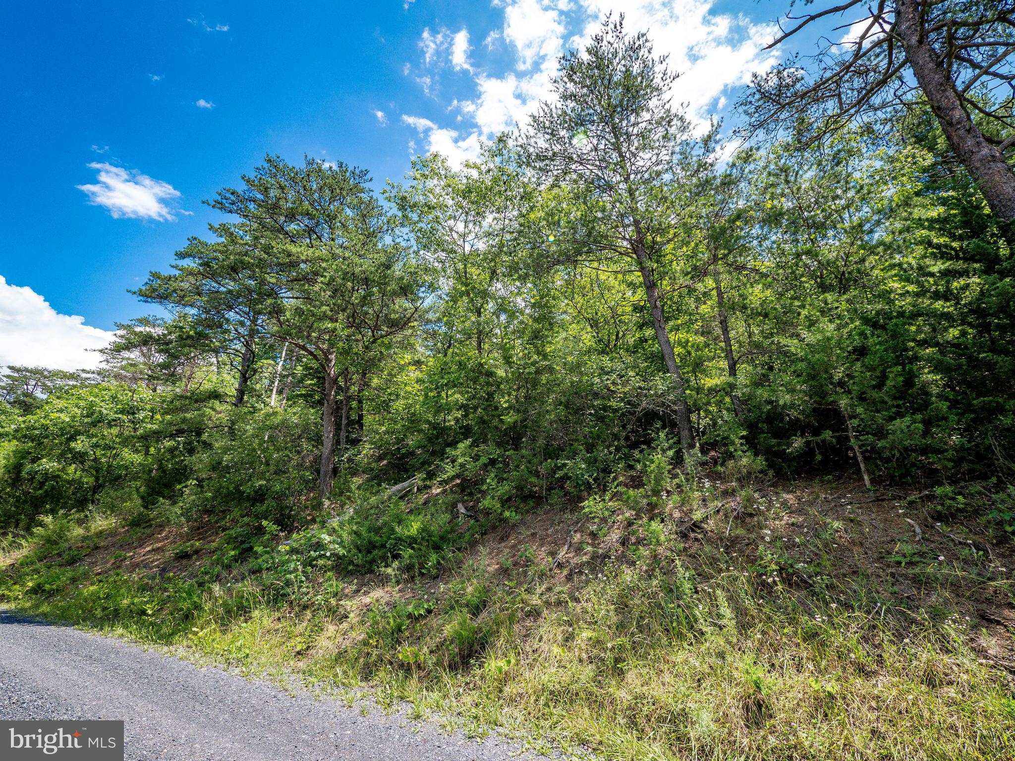 THE RIDGE AT CEDAR CREEK - Land