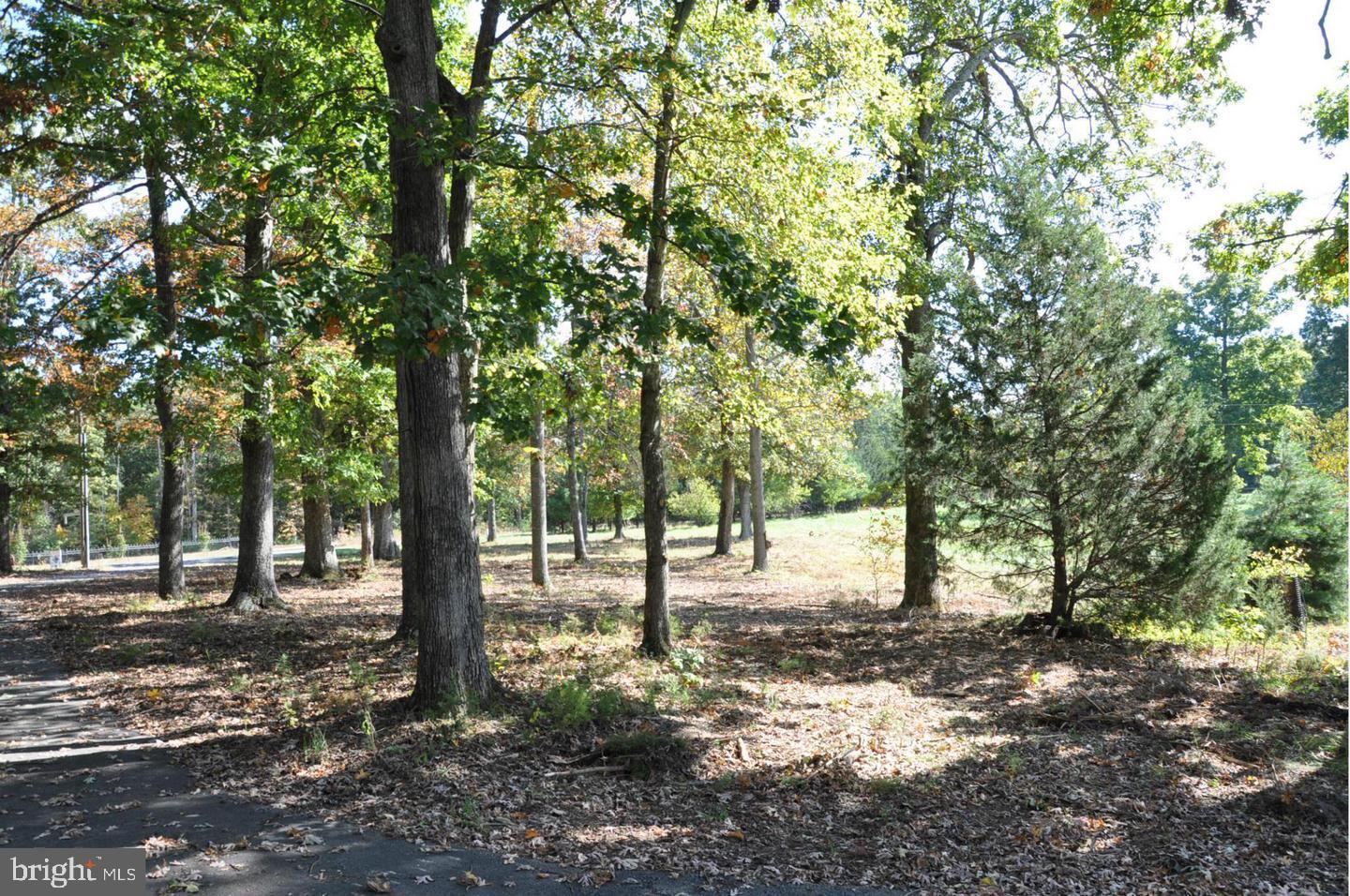 PLEASANTS LANDING - Residential