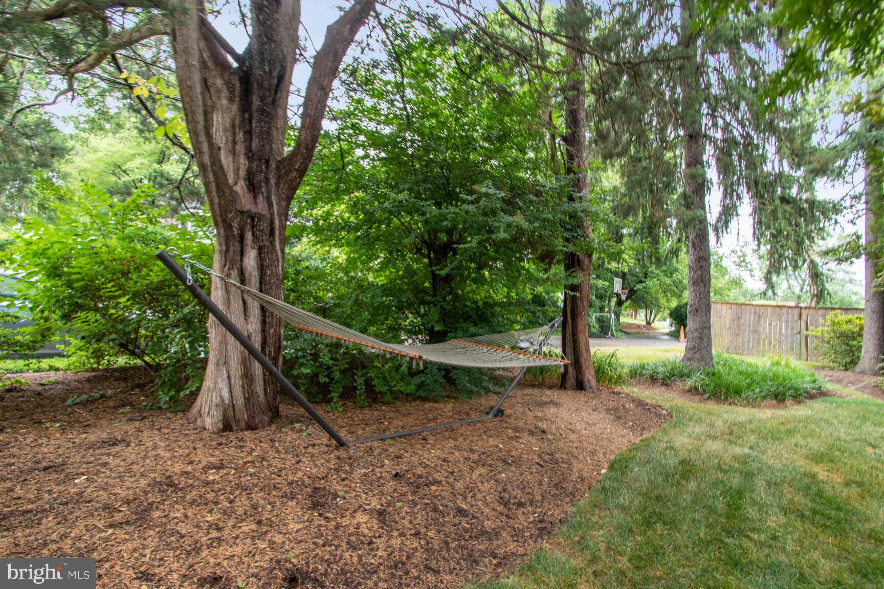 NORTH CHEVY CHASE - Residential