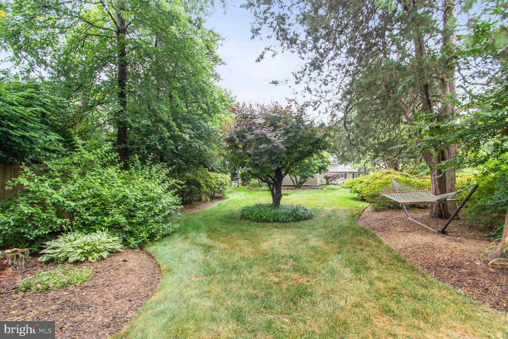 NORTH CHEVY CHASE - Residential