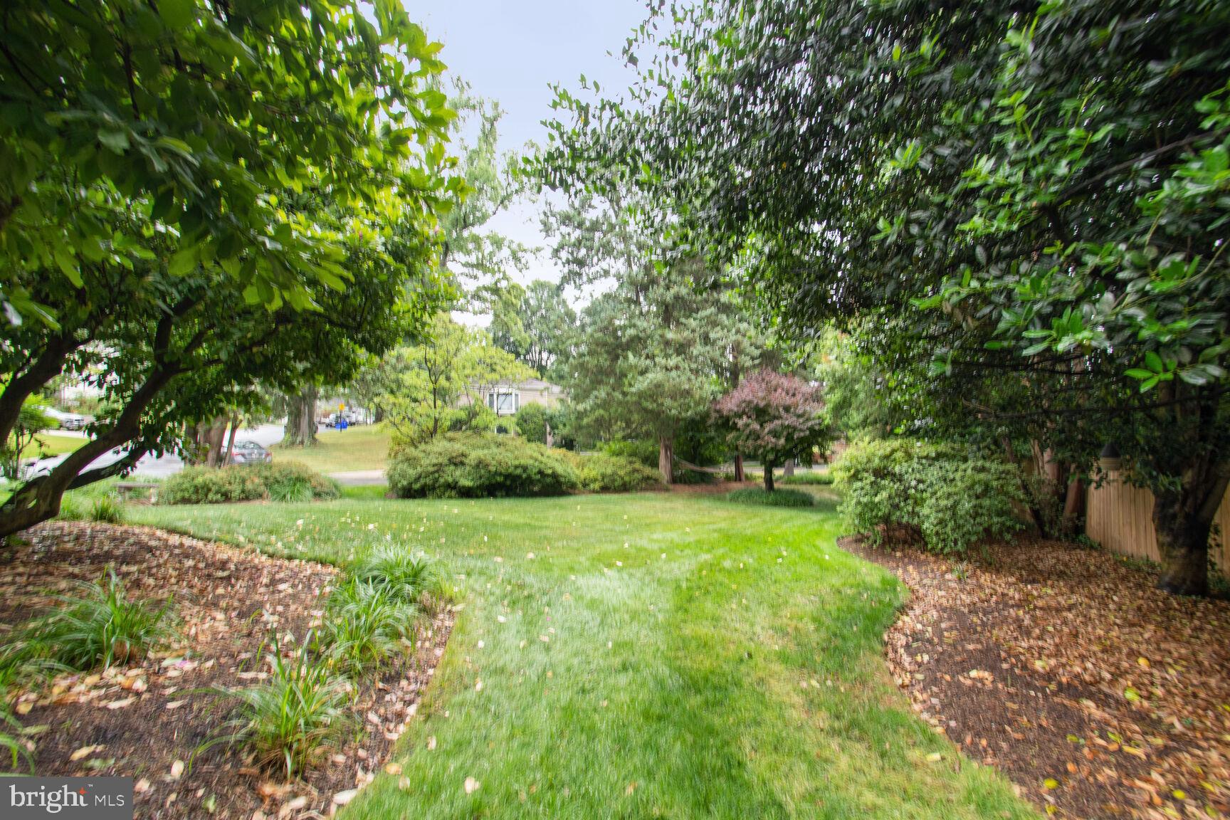 NORTH CHEVY CHASE - Residential