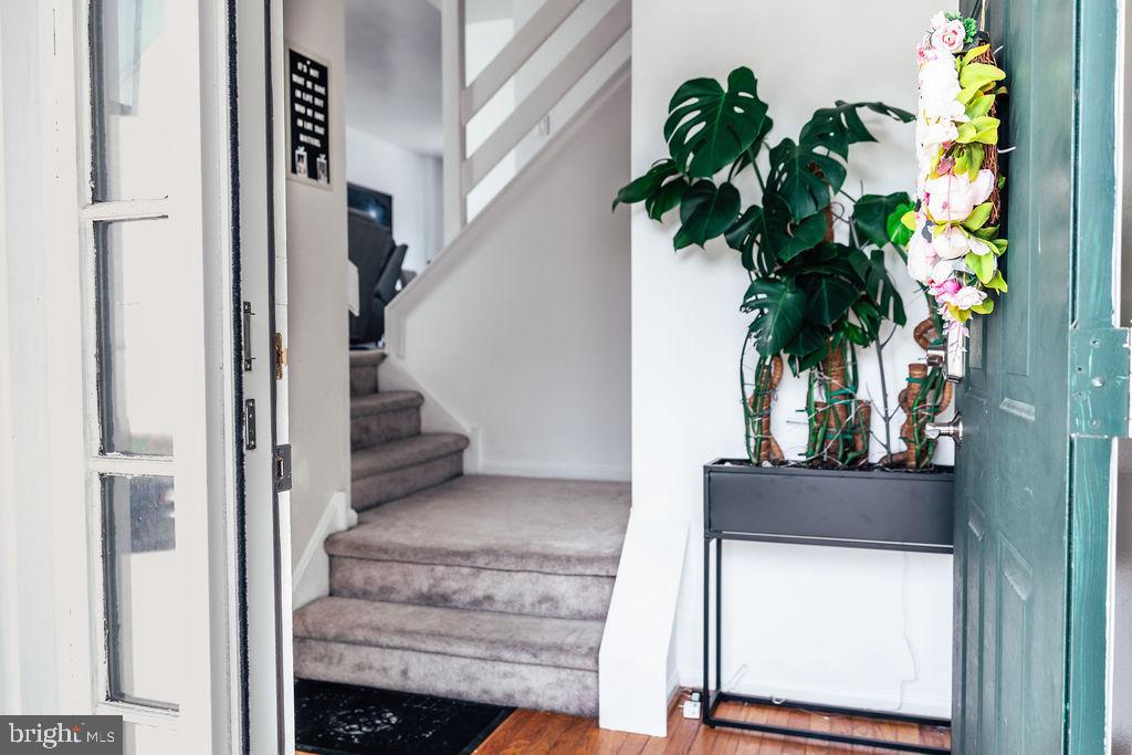 CINNAMON HILL - Residential