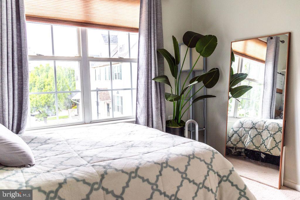 CINNAMON HILL - Residential