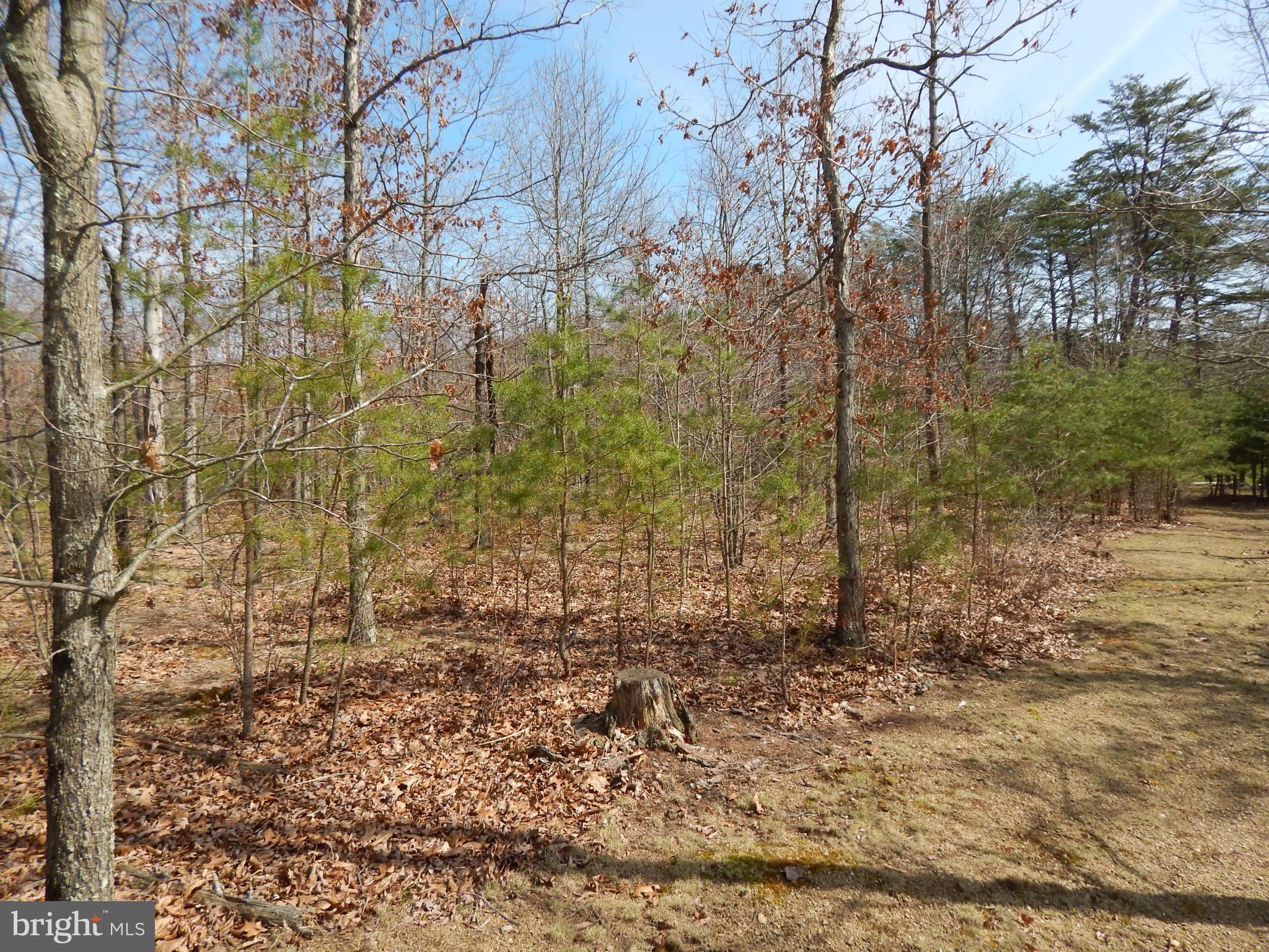 CACAPON SOUTH - Land