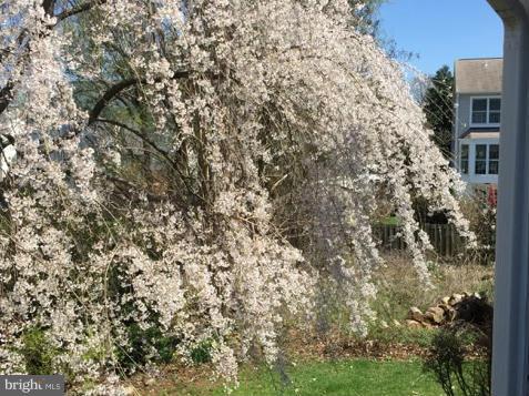 LEE MANOR - Residential