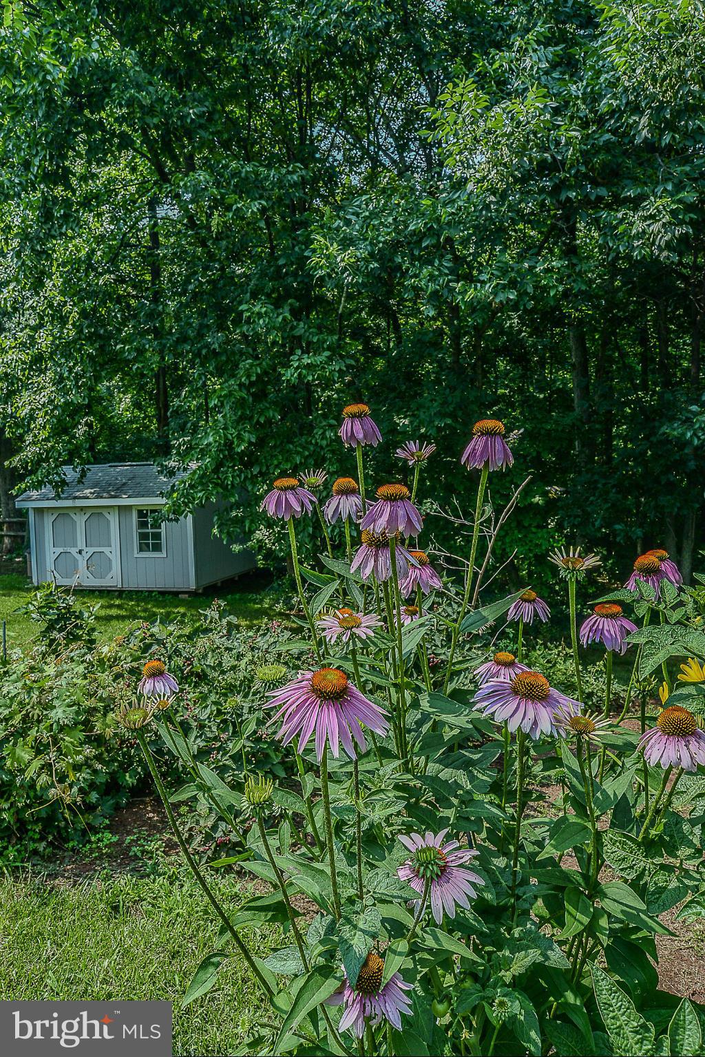 SENECA CHASE - Residential