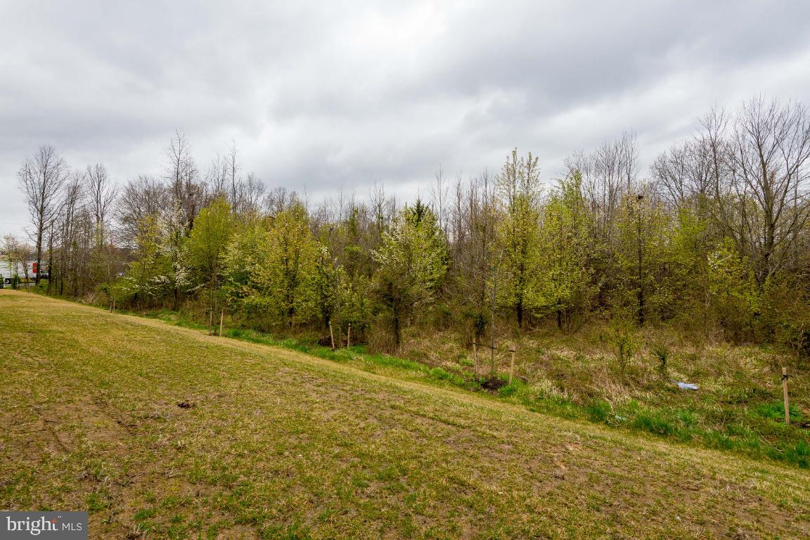 HYDE PARK - Residential