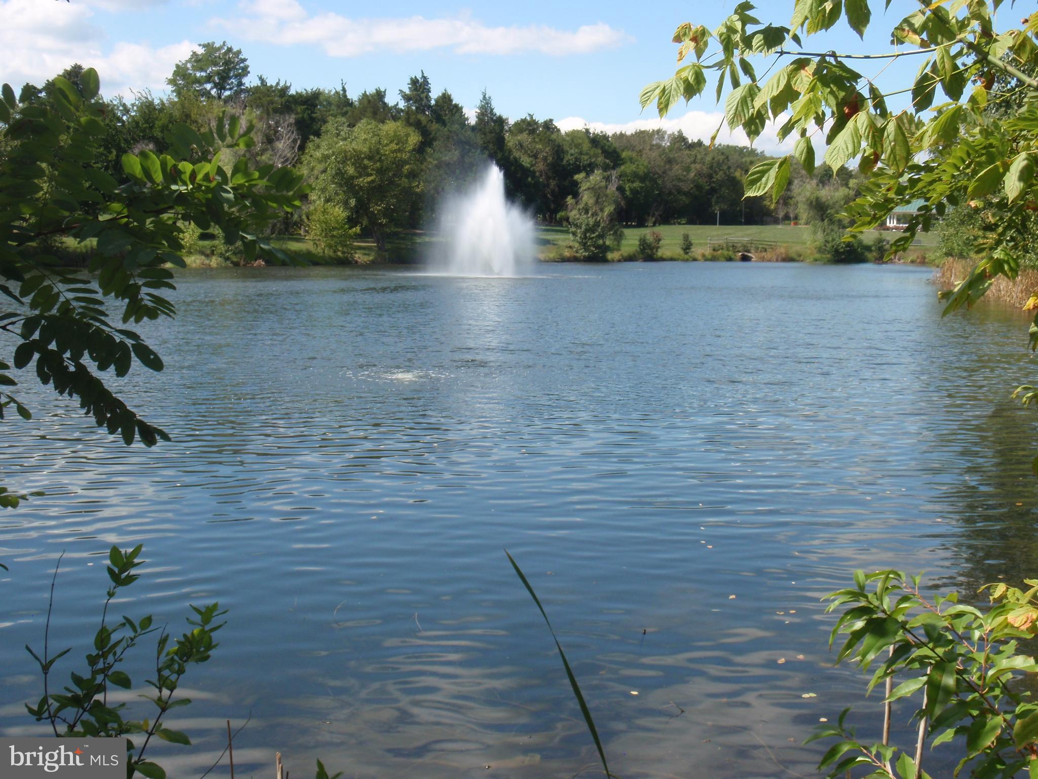 ASHBURN FARM - Residential