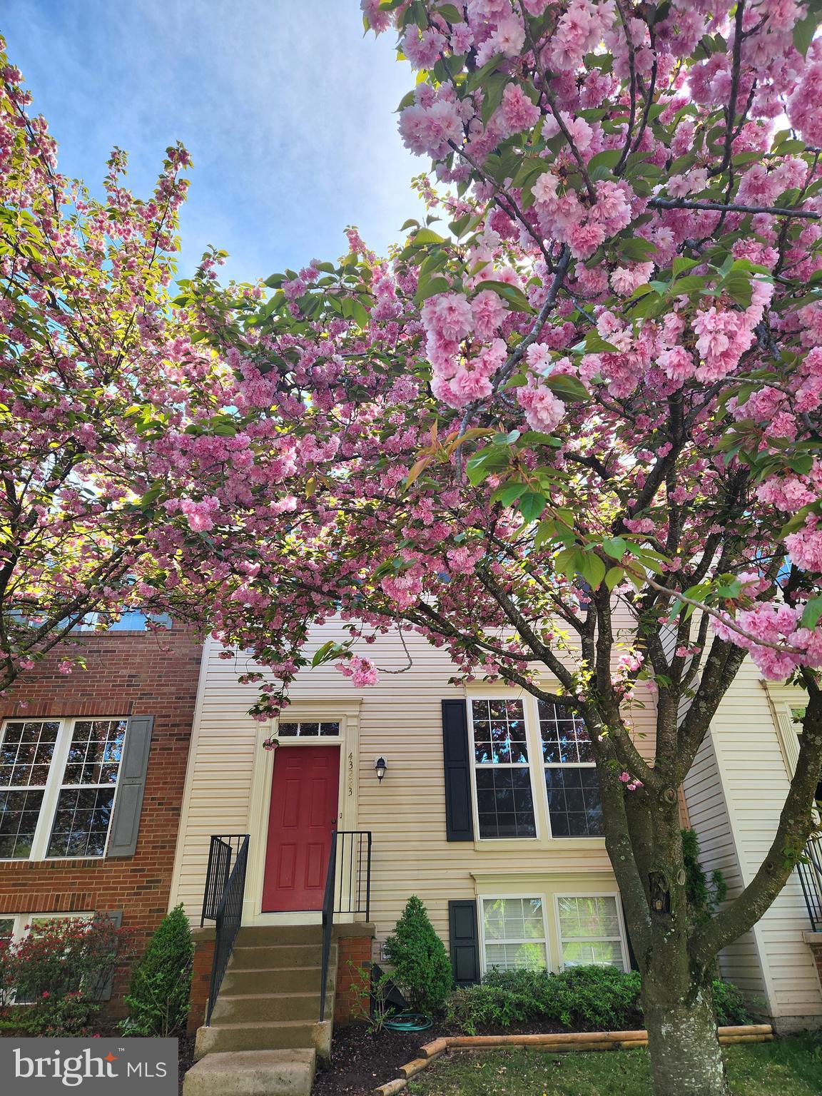 ASHBURN FARM - Residential
