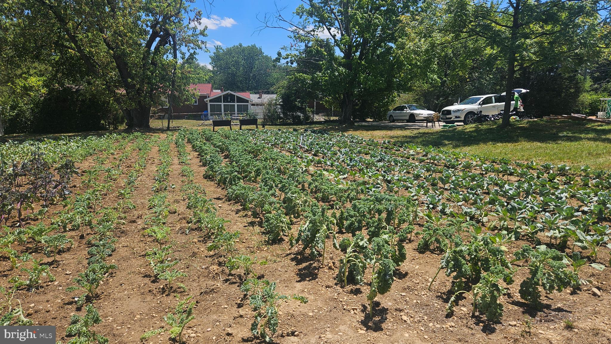 AUTH VILLAGE - Residential