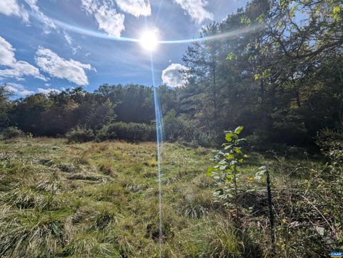 1376 CALF MOUNTAIN RD WAYNESBORO VA 22980