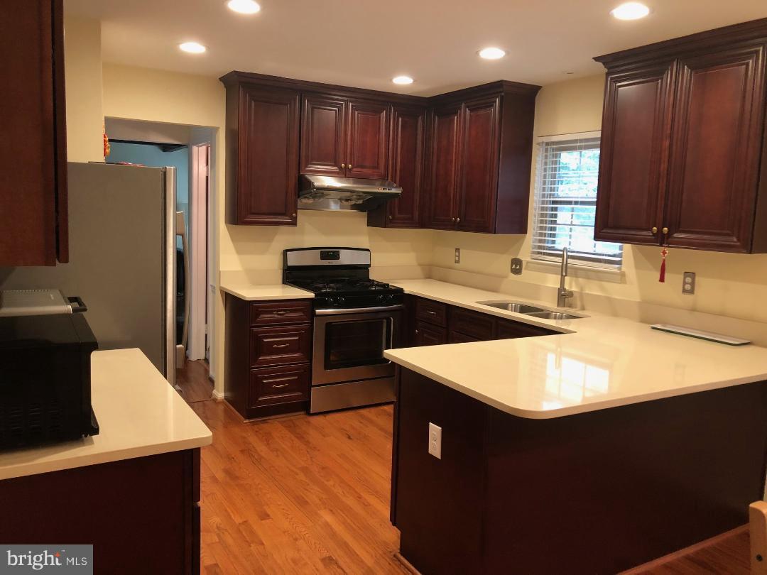 12421 ALEXANDER CORNELL DRIVE