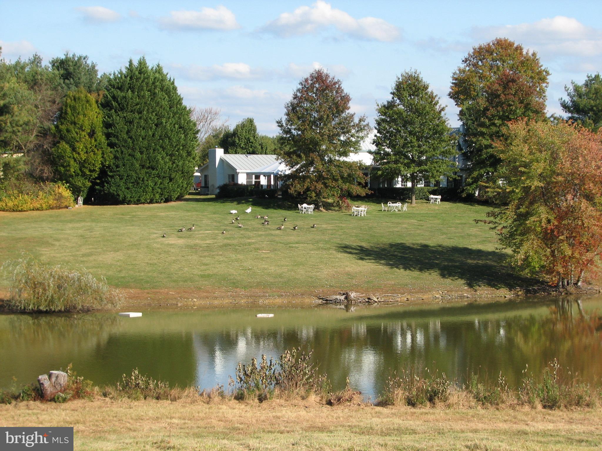 RAPPAHANNOCK/ WASHINGTON VIRGINIA - Farm