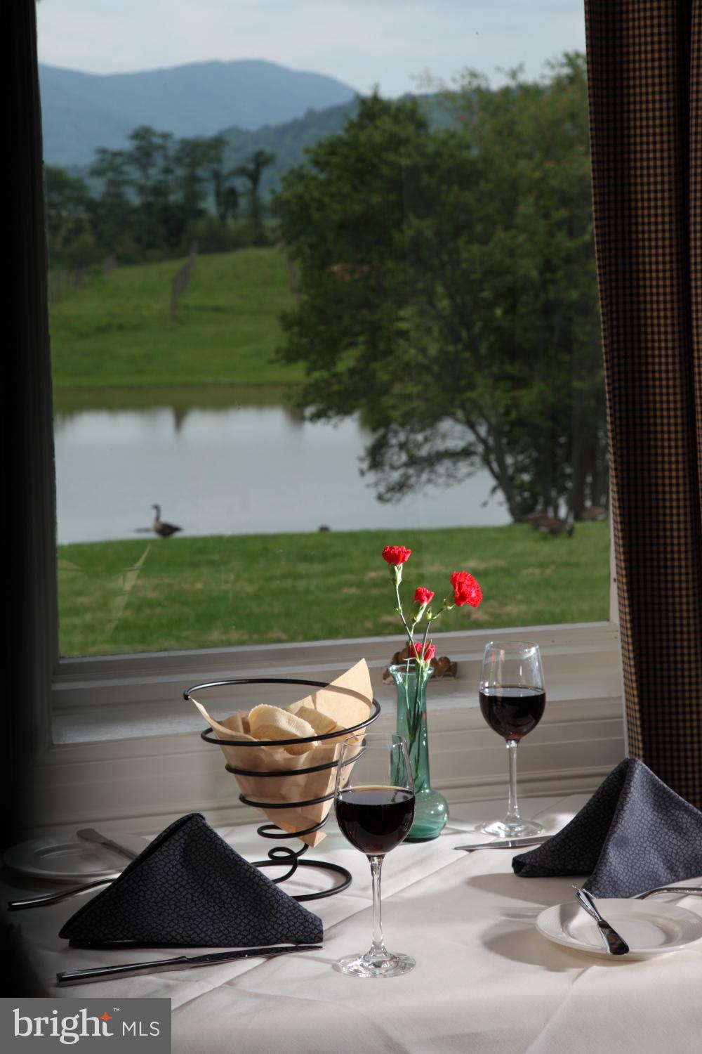 RAPPAHANNOCK/ WASHINGTON VIRGINIA - Farm