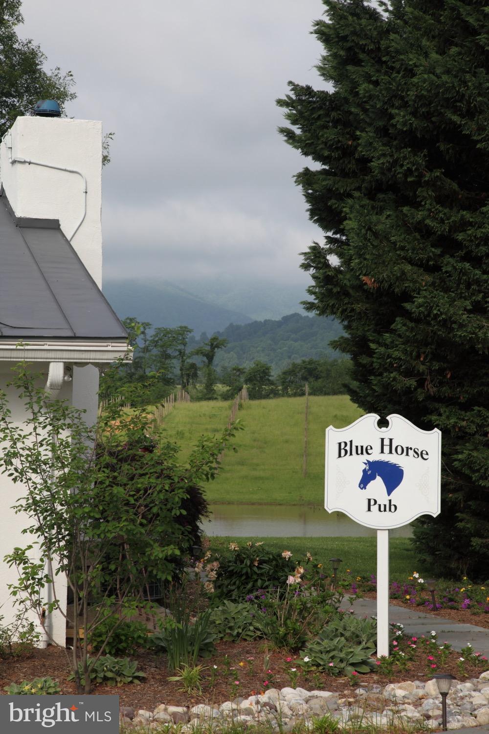 RAPPAHANNOCK/ WASHINGTON VIRGINIA - Farm