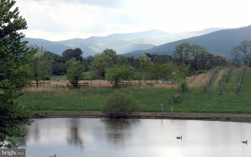 The Blue Rock Inn- AMAZING 80 acre property of rolling hills accompanied mature landscaping, stone walls, a pond and gorgeous mountain views! A great place to have as a family retreat, vineyard or keep it as a Bed & Breakfast and Bar. Property has a Polo arena, horse track, stables, cottage, unfinished home (framed and currently under roof). Only 2.6 miles down from the Inn at Little Washington.