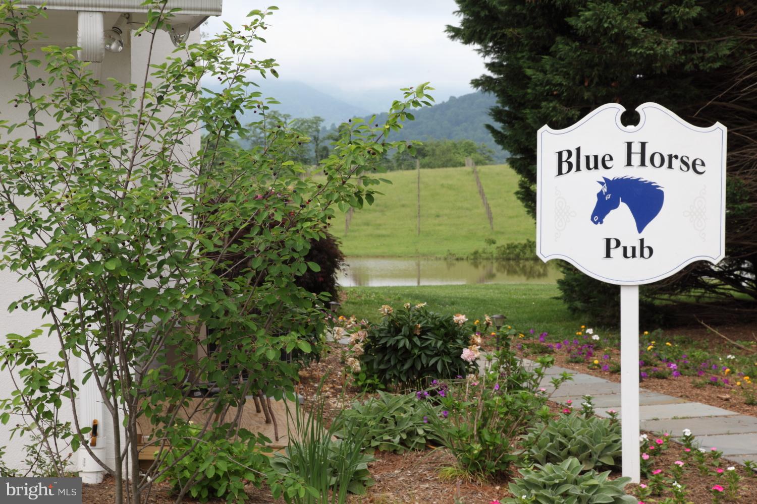 RAPPAHANNOCK/ WASHINGTON VIRGINIA - Farm