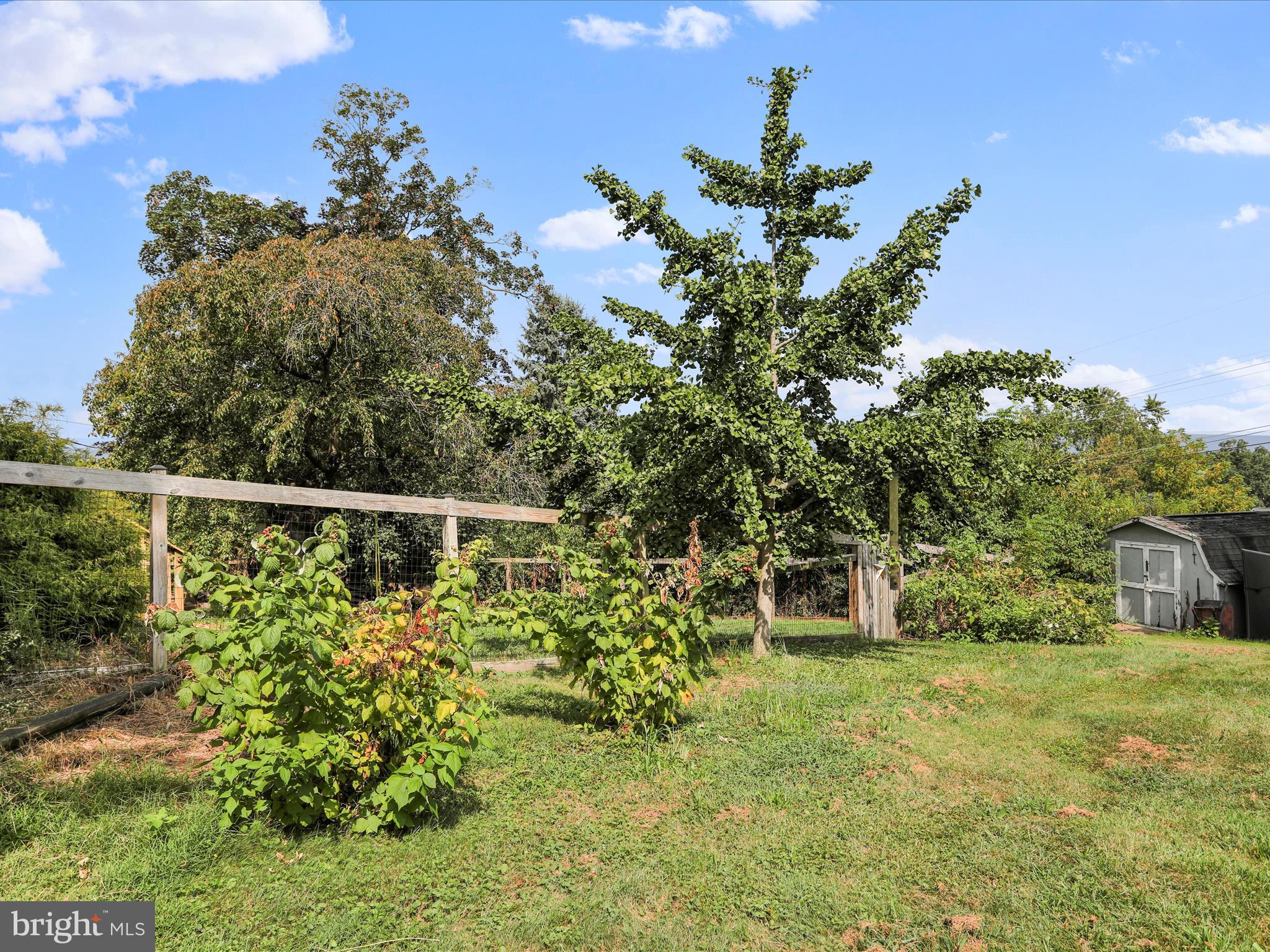 KENSINGTON HEIGHTS - Residential