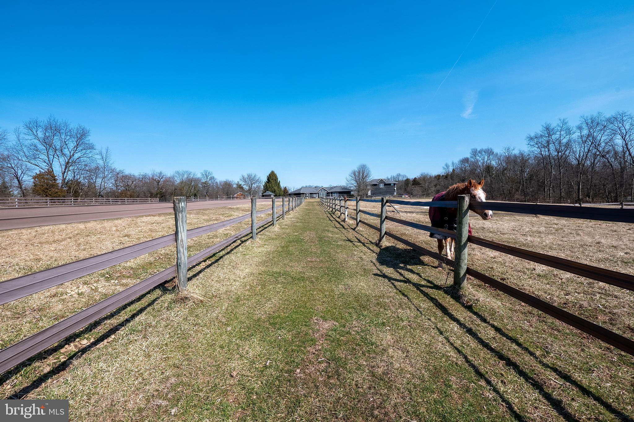 NONE AVAILABLE - Farm