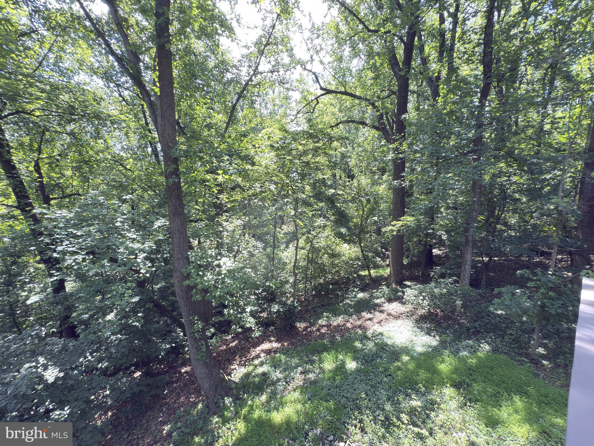 SHENANDOAH RETREAT - Residential