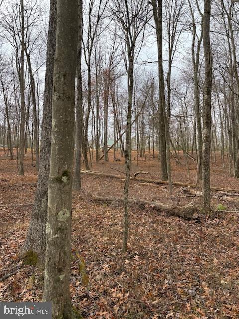 ROCK RUN III - Residential