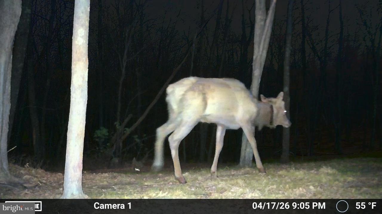 ROCK RUN III - Residential