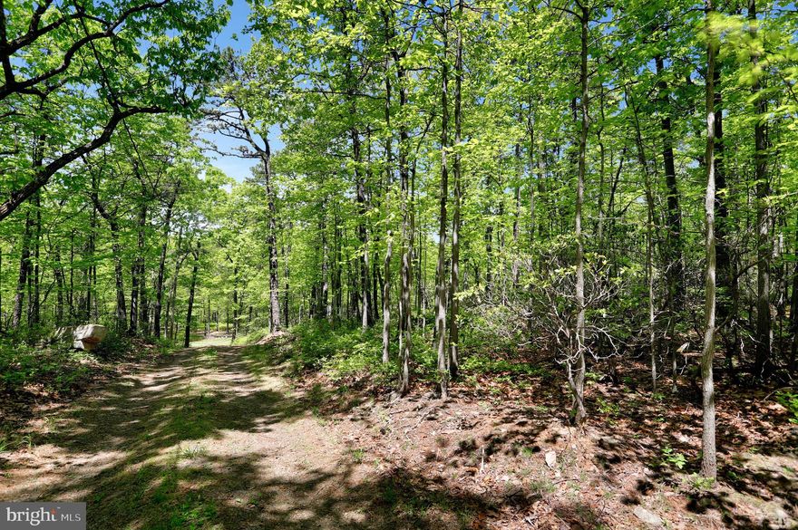 Escape to the country!!  Gently sloping UNRESTRICTED 2 acre wooded lot in Berkeley Springs.  Perc approved.  Driveway has a non exclusive right of way, property is on both sides of the driveway.  Take a look today and picture your future dream home  in the woods!!
