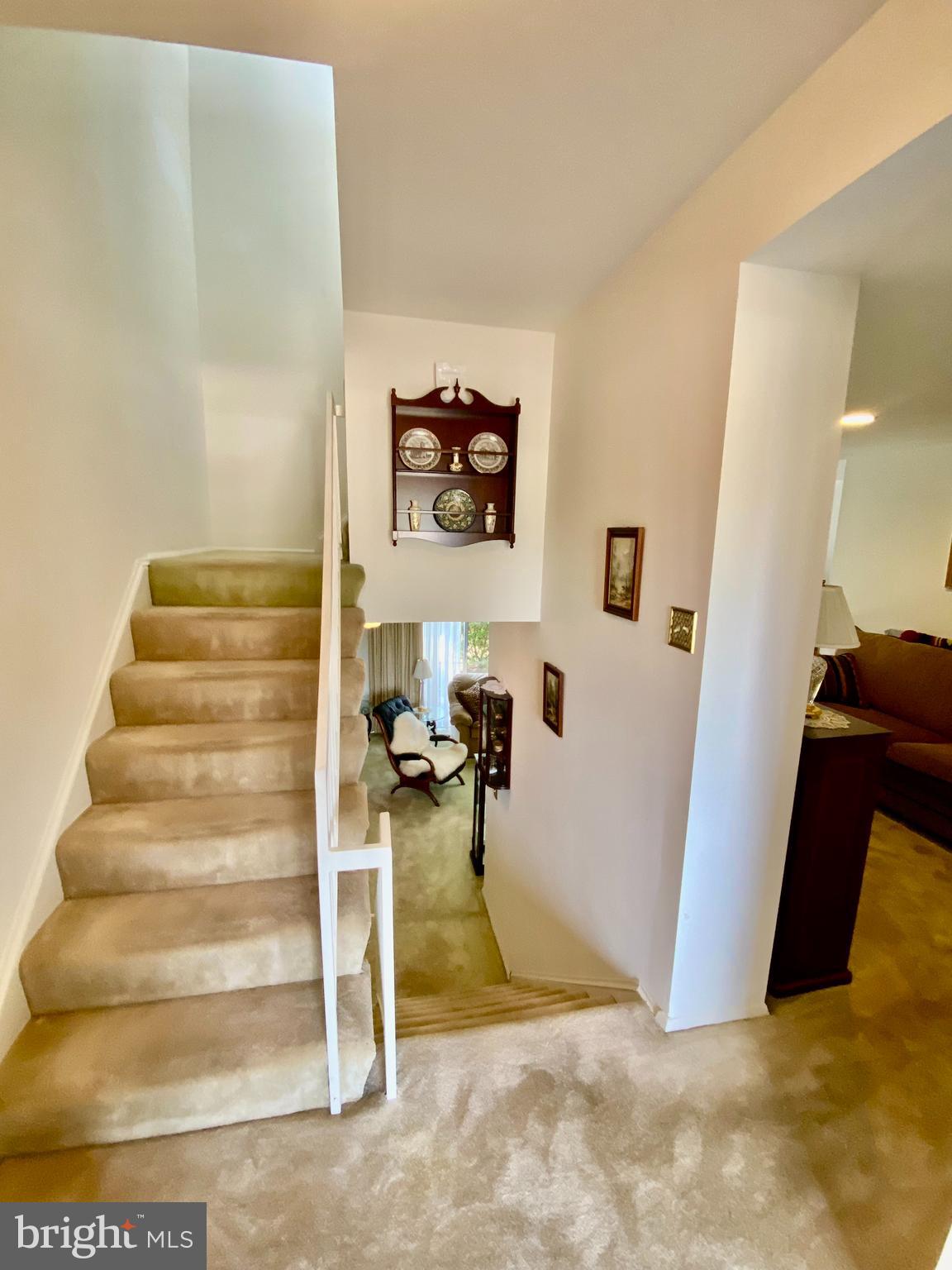 THOMAS CHOICE - Residential