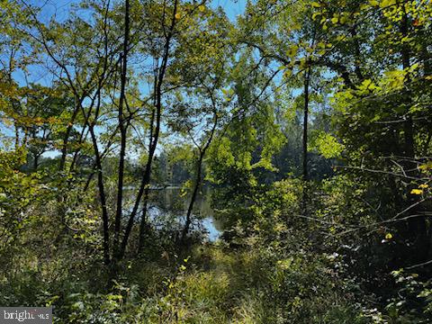 CAROLINE PINES - Land