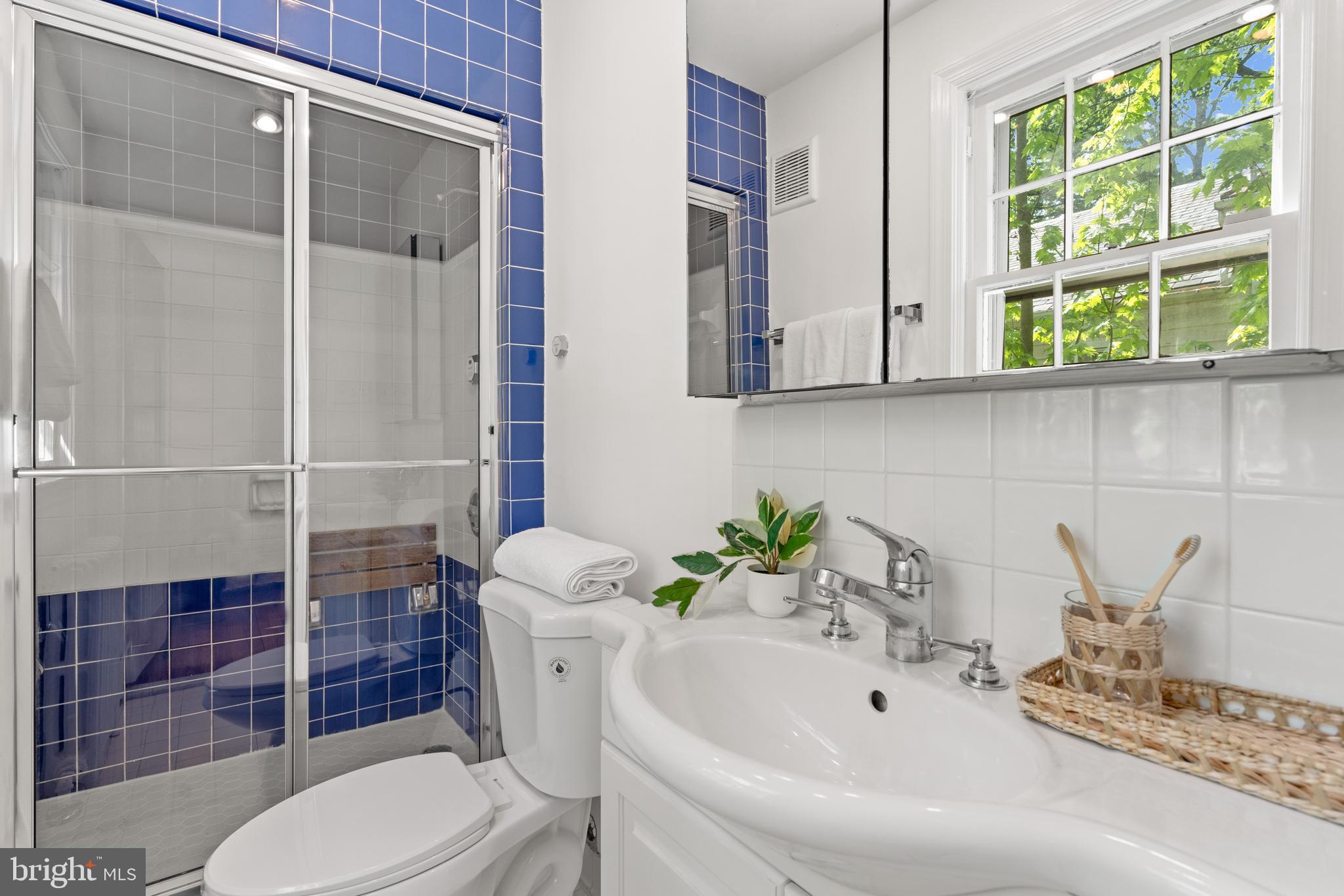 CHEVY CHASE - Residential