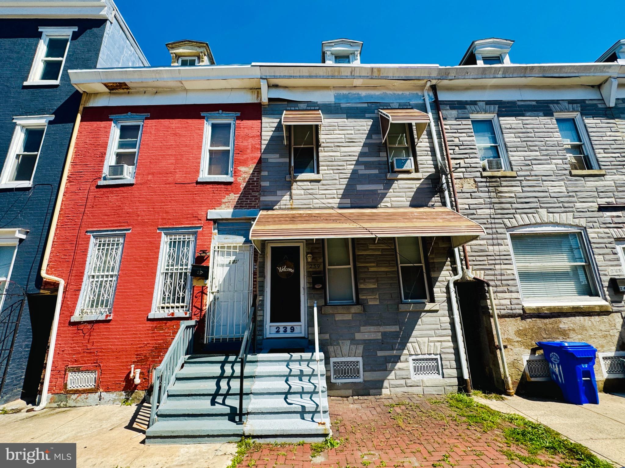 239 PEARL STREET