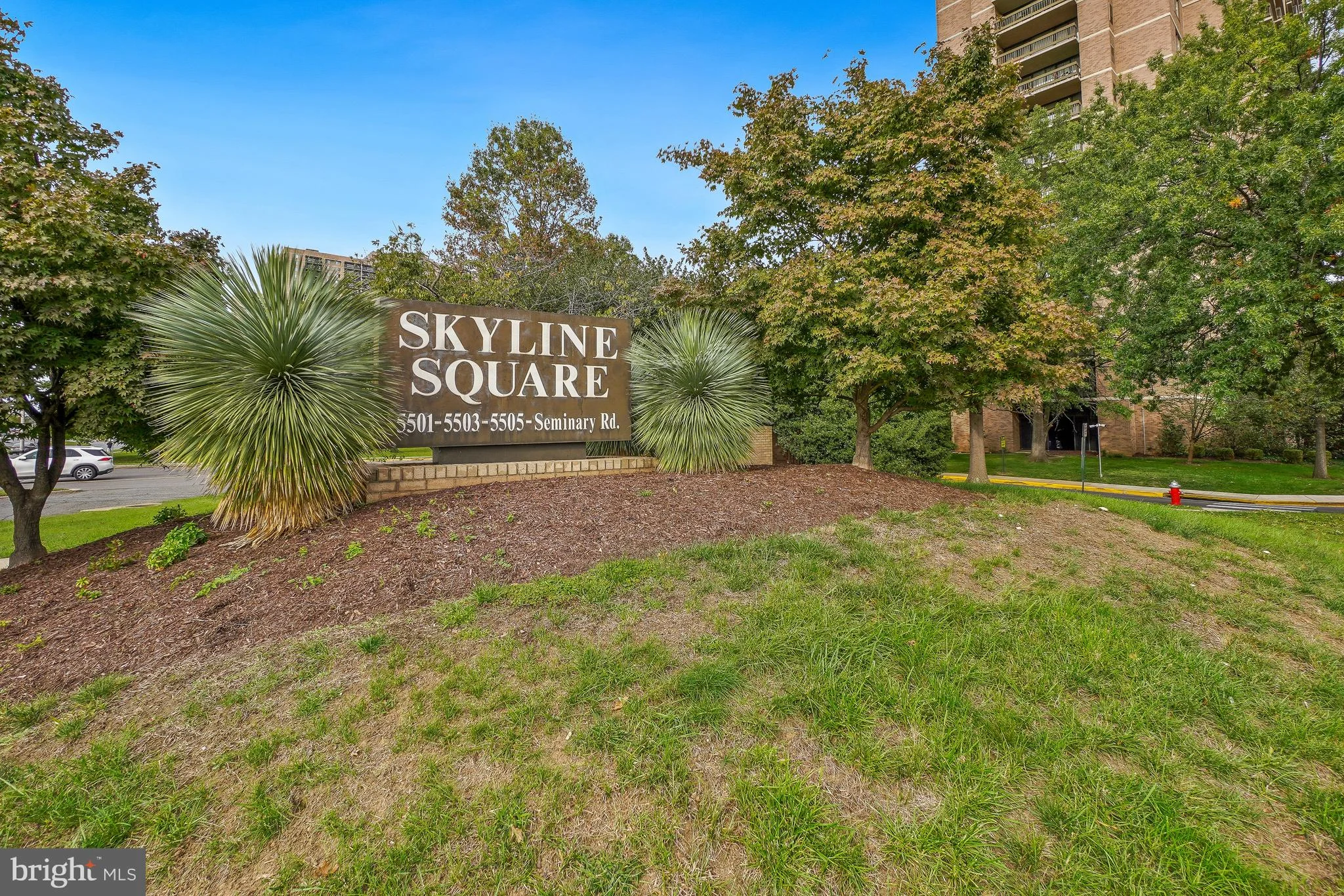 5501 Seminary Road Unit 1111S