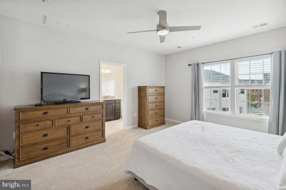 GREENBELT STATION - Residential