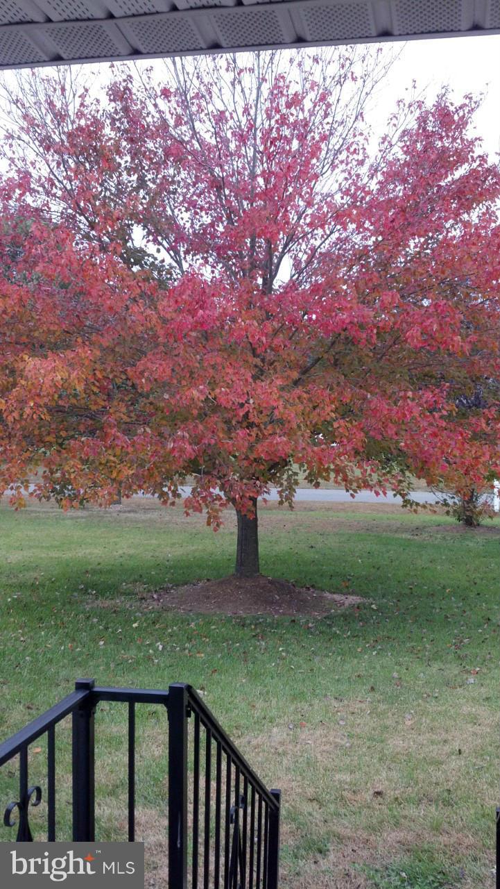 AMANDIANA ESTATES - Residential