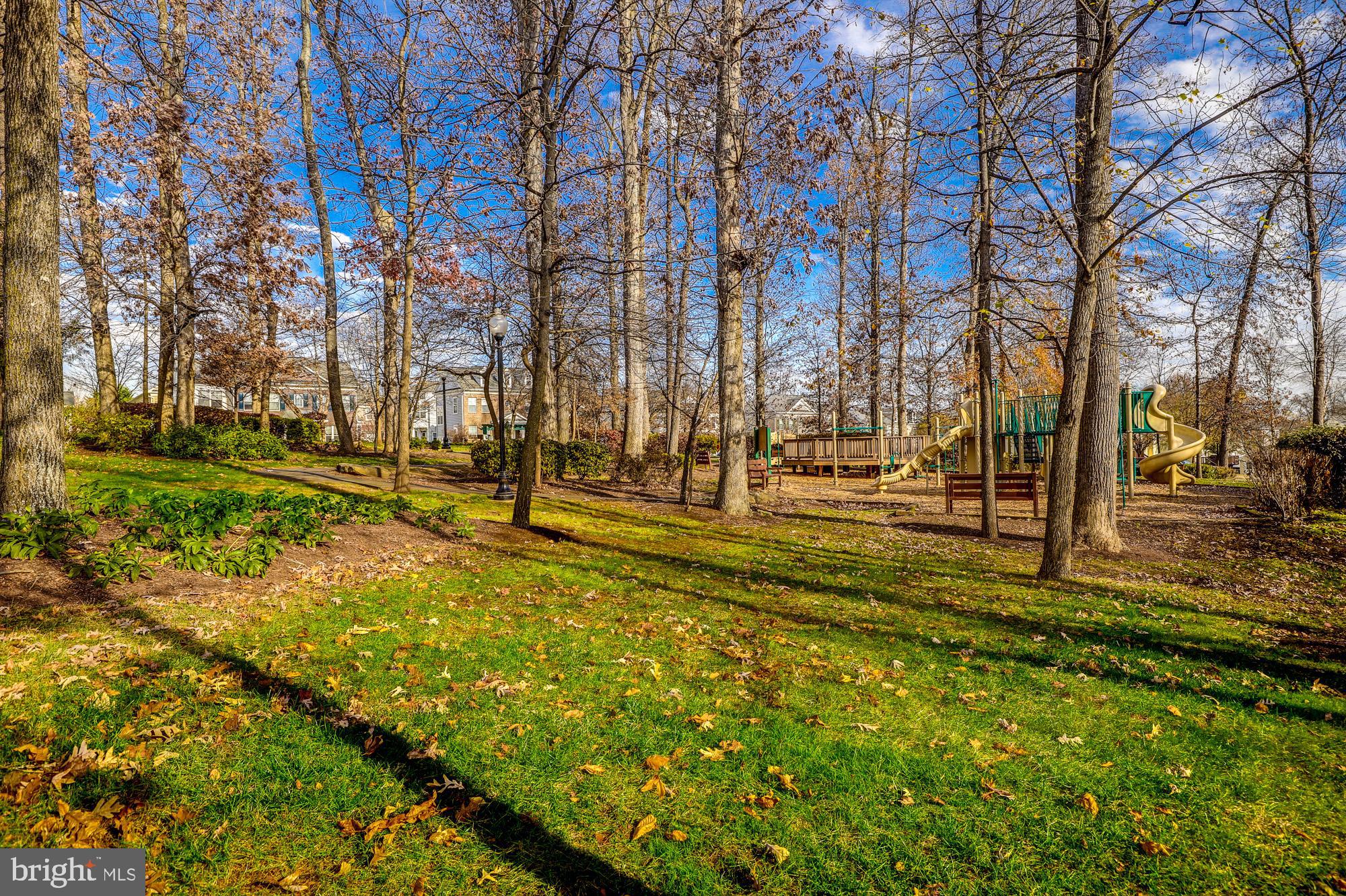 MEADOWS AT MORRIS FARM - Residential