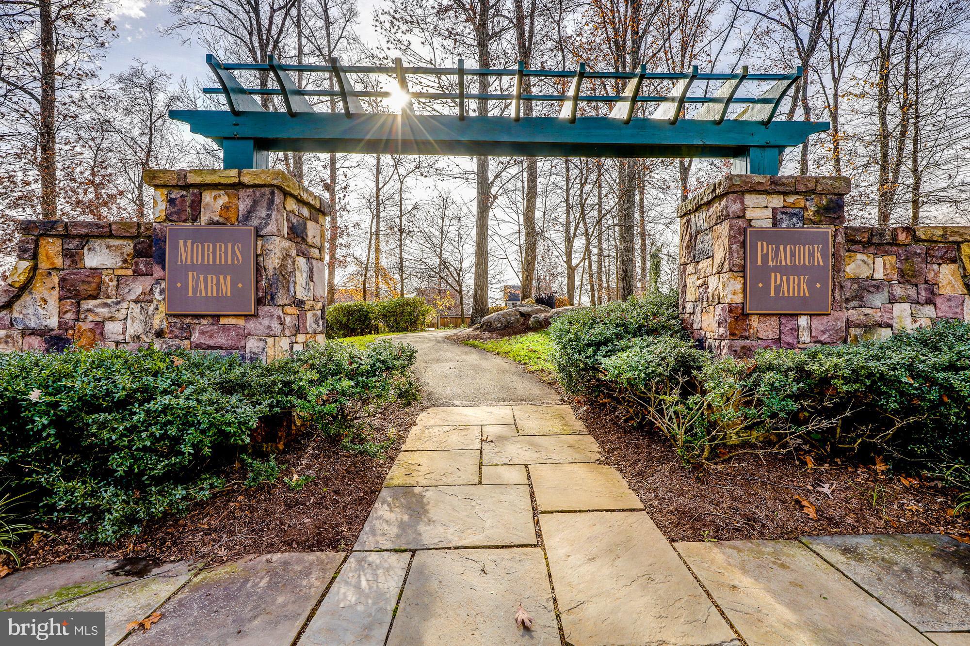 MEADOWS AT MORRIS FARM - Residential