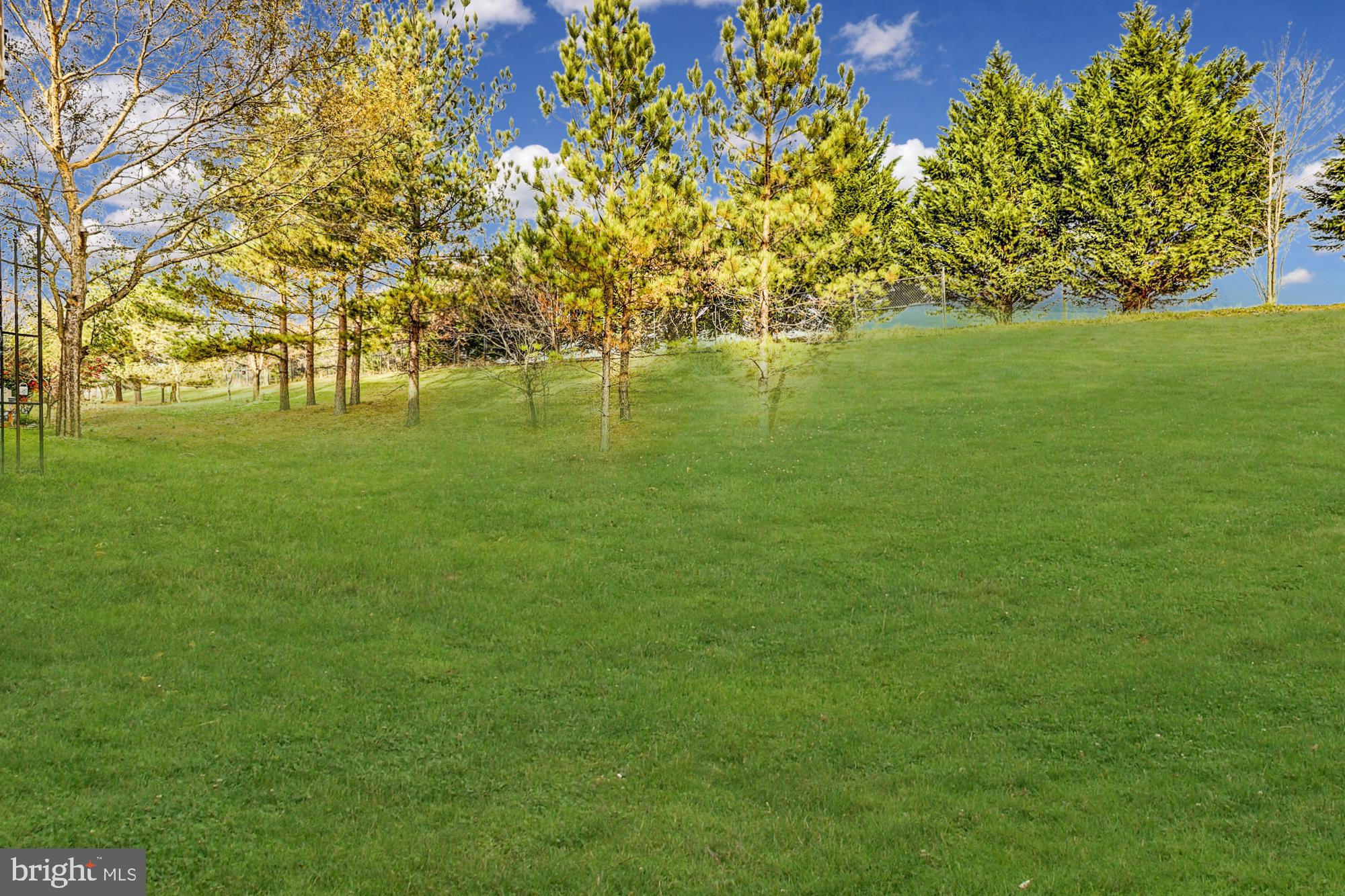 MEADOWS AT MORRIS FARM - Residential