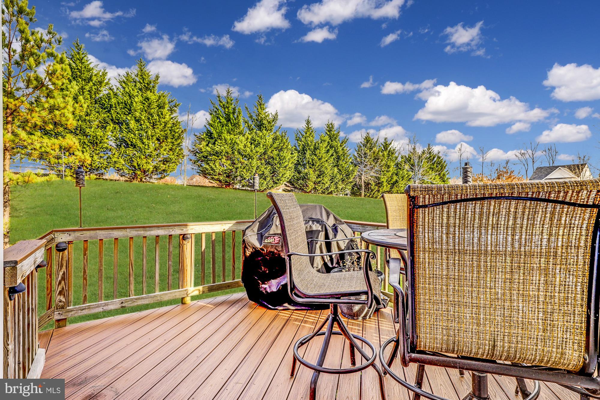 MEADOWS AT MORRIS FARM - Residential