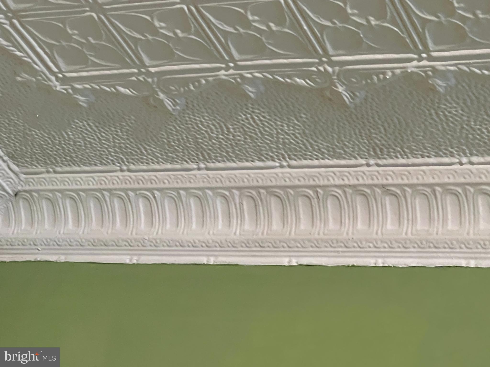 MADISON PARK HISTORIC DISTRICT - Residential