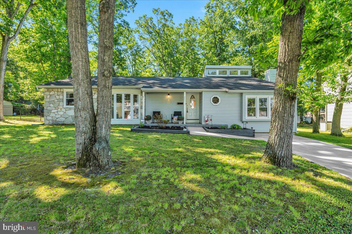 203 GEORGETOWN ROAD
