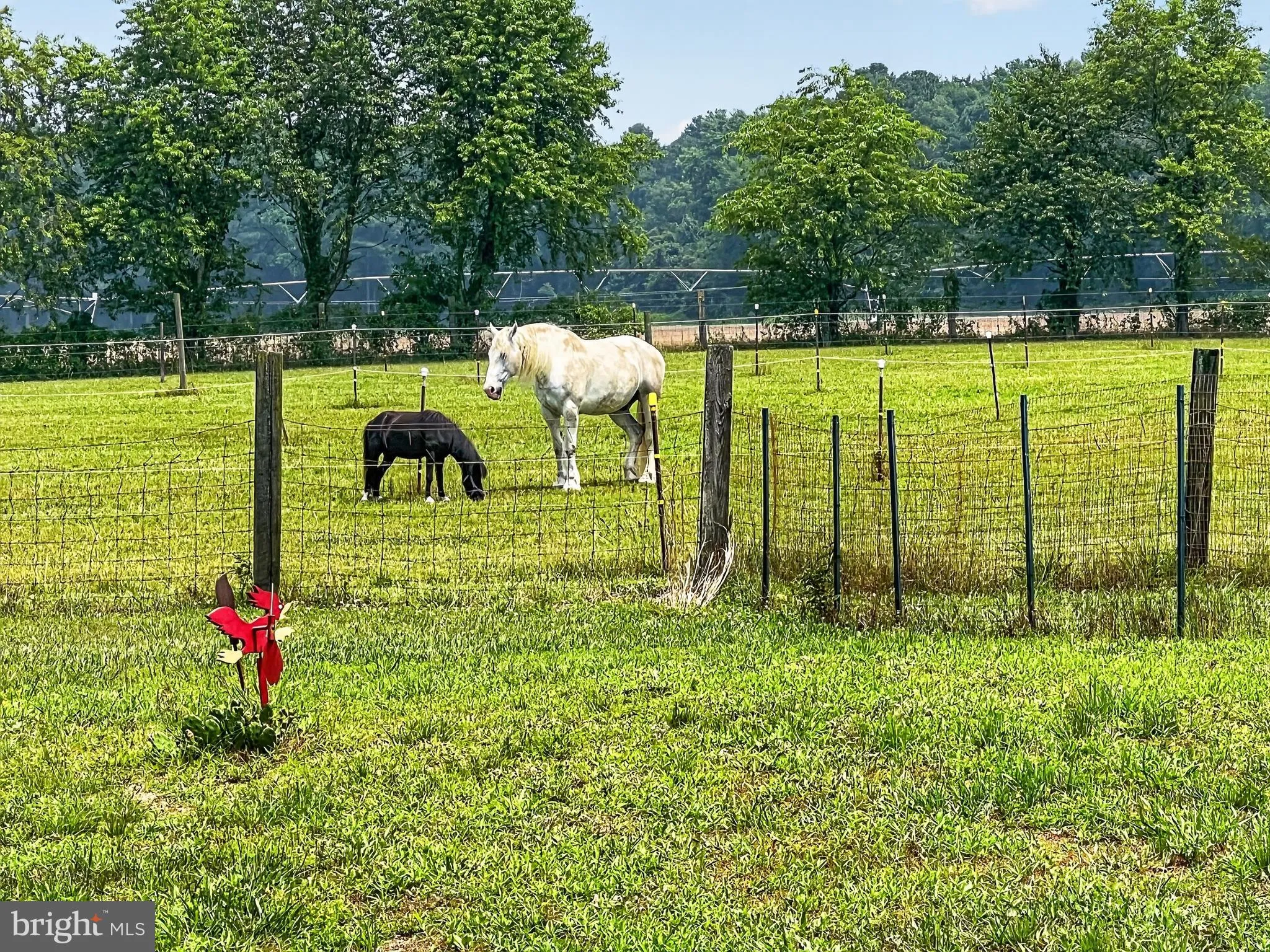 Additional image 69 of 12855 Whitesville Road, Delmar, DE 19940