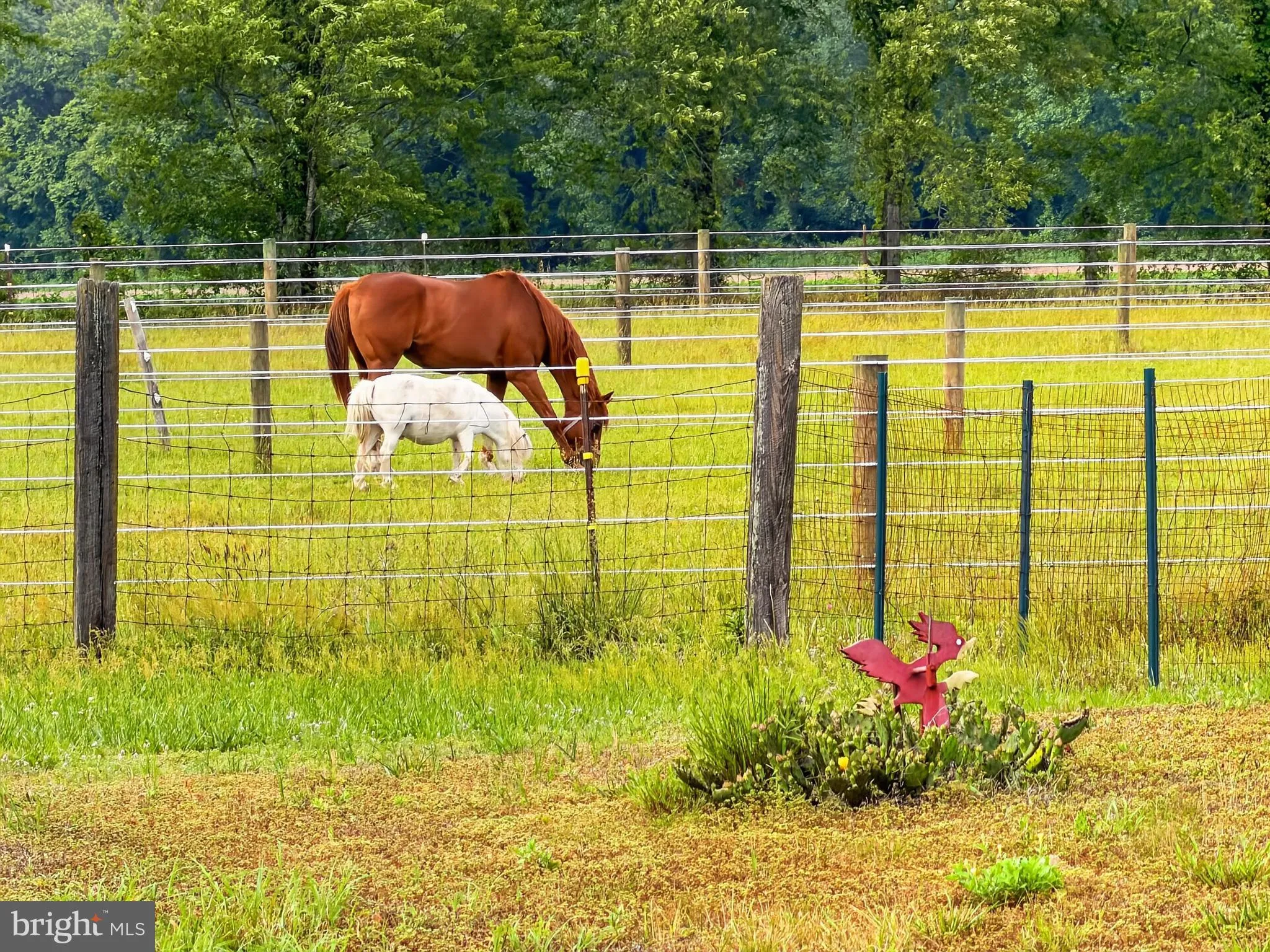 Additional image 70 of 12855 Whitesville Road, Delmar, DE 19940