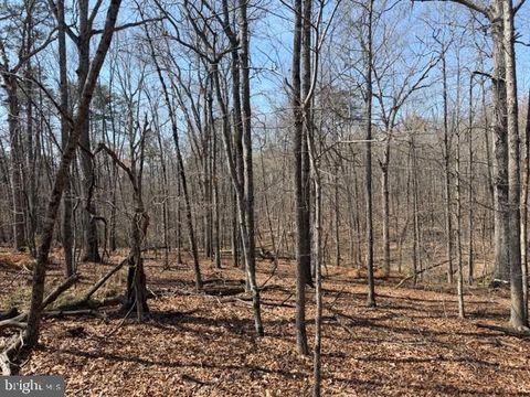 Vacant Land For Sale - Countryside Lane - Lot 4<br/> LIGNUM, VA 22726