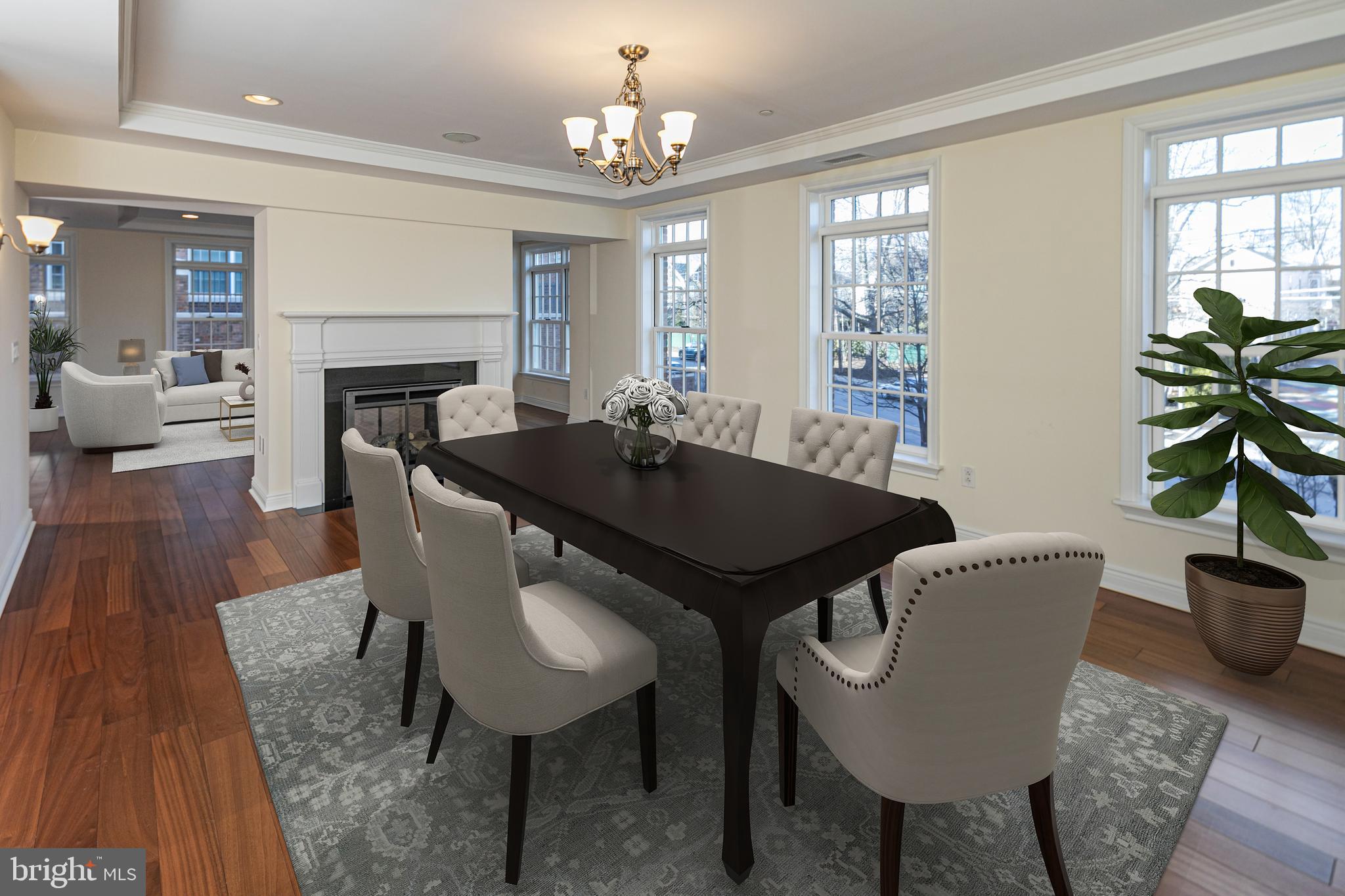 PALMER SQUARE - Residential