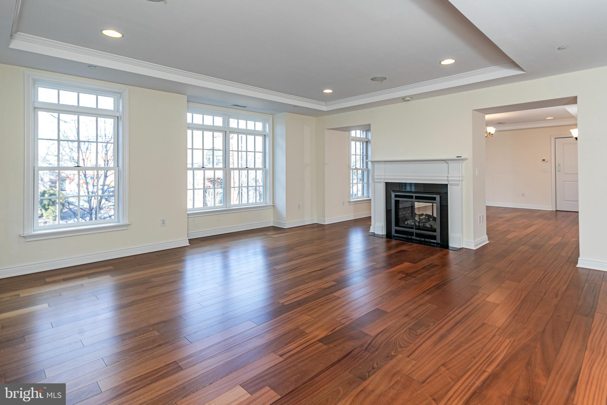 PALMER SQUARE - Residential