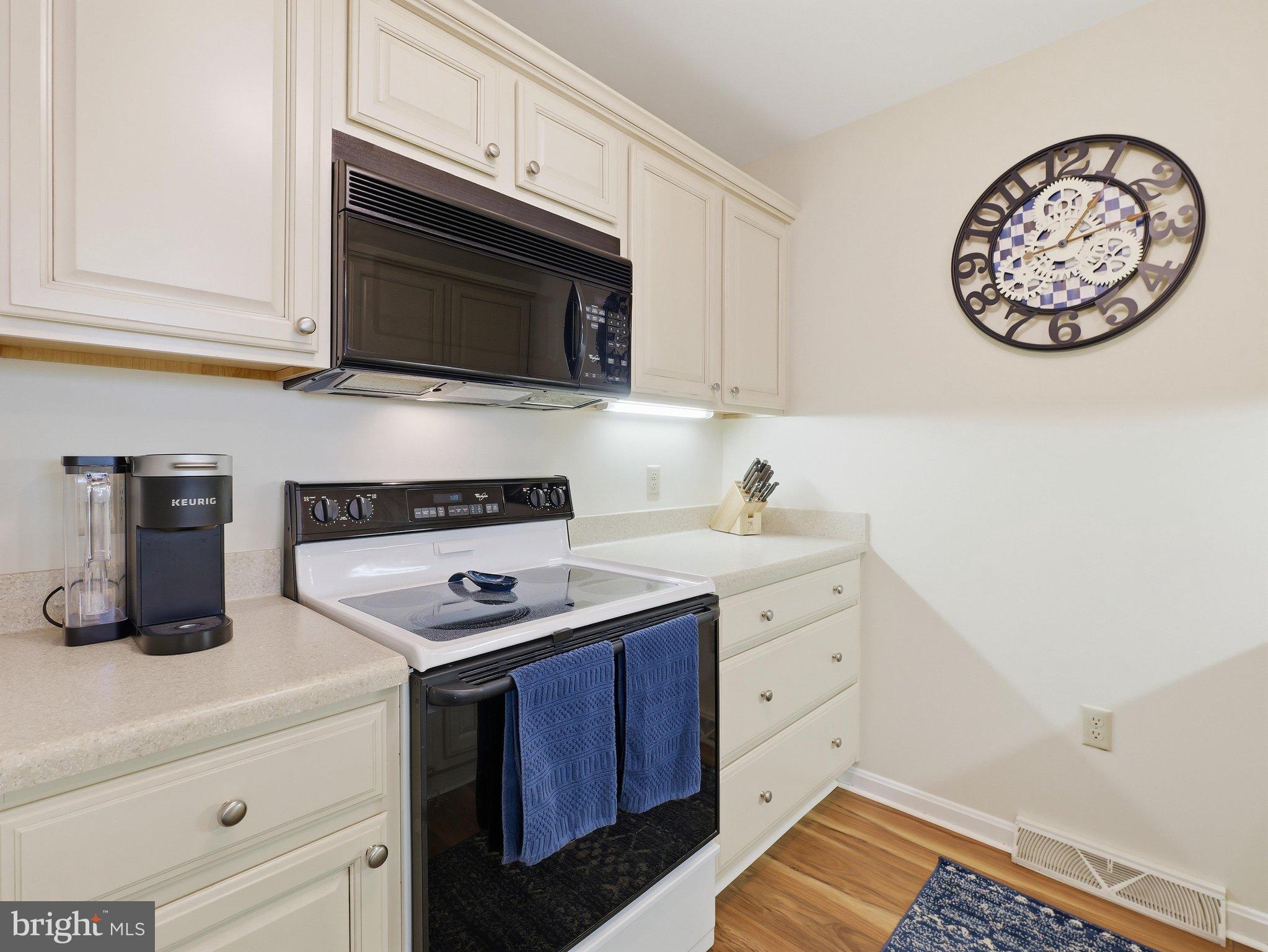 132 ANTIETAM DRIVE